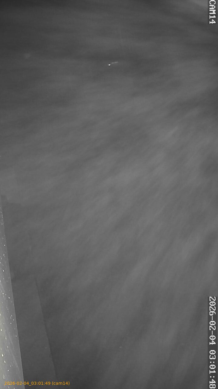 thumbnail_20260204030149