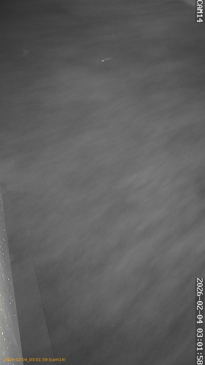 thumbnail_20260204030159