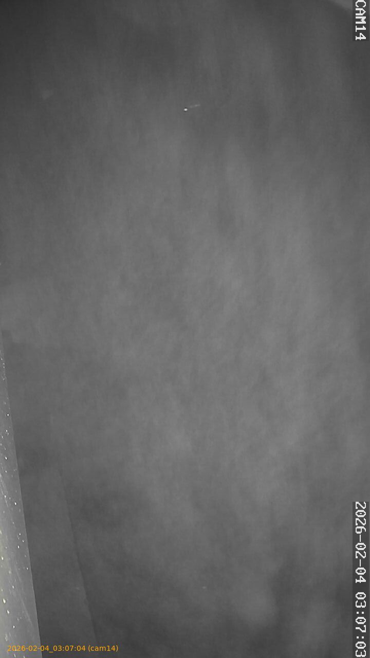 thumbnail_20260204030704