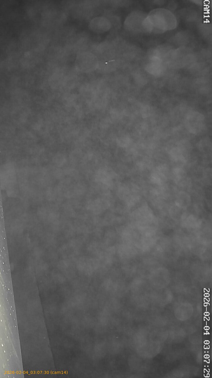 thumbnail_20260204030730