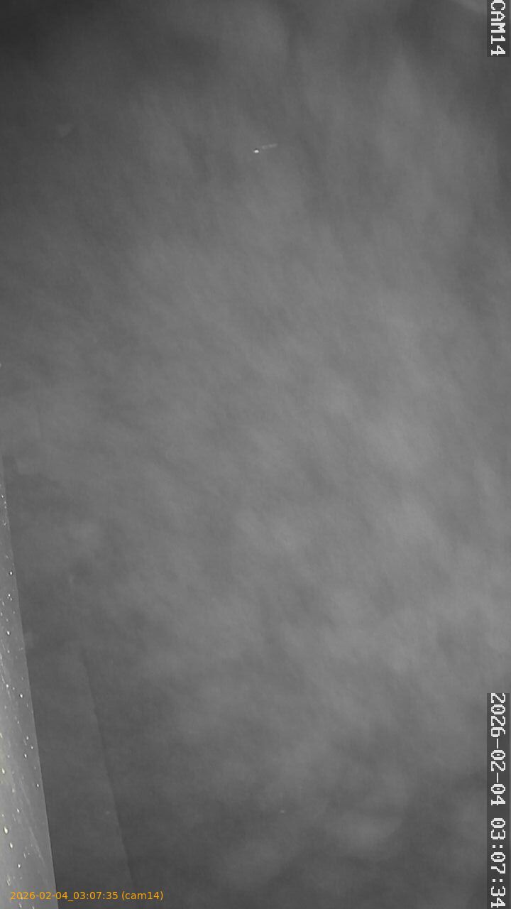 thumbnail_20260204030735