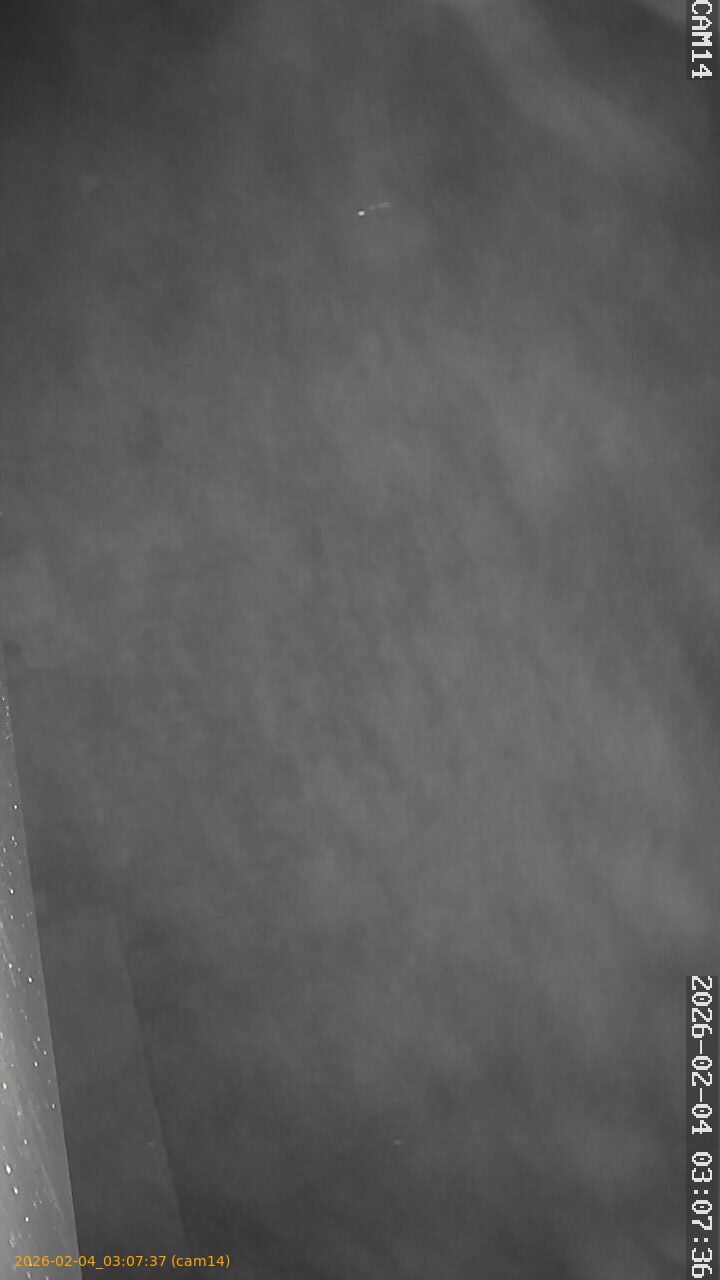 thumbnail_20260204030737