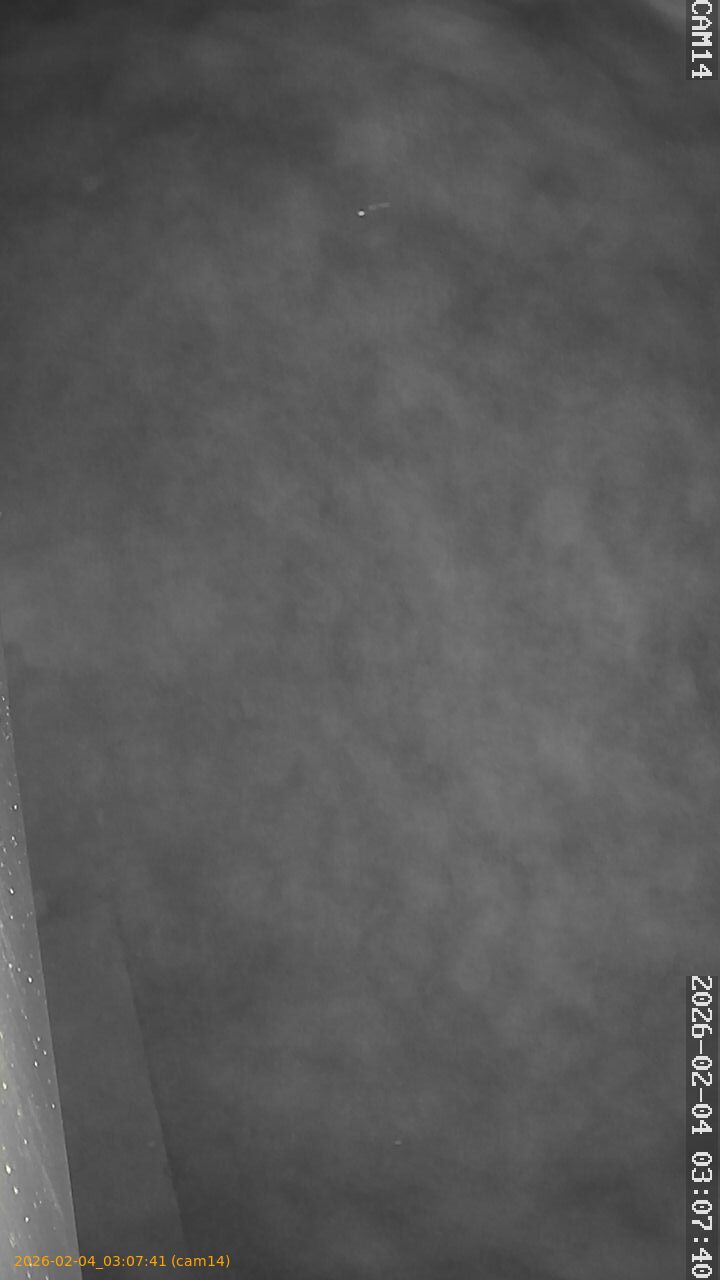 thumbnail_20260204030741