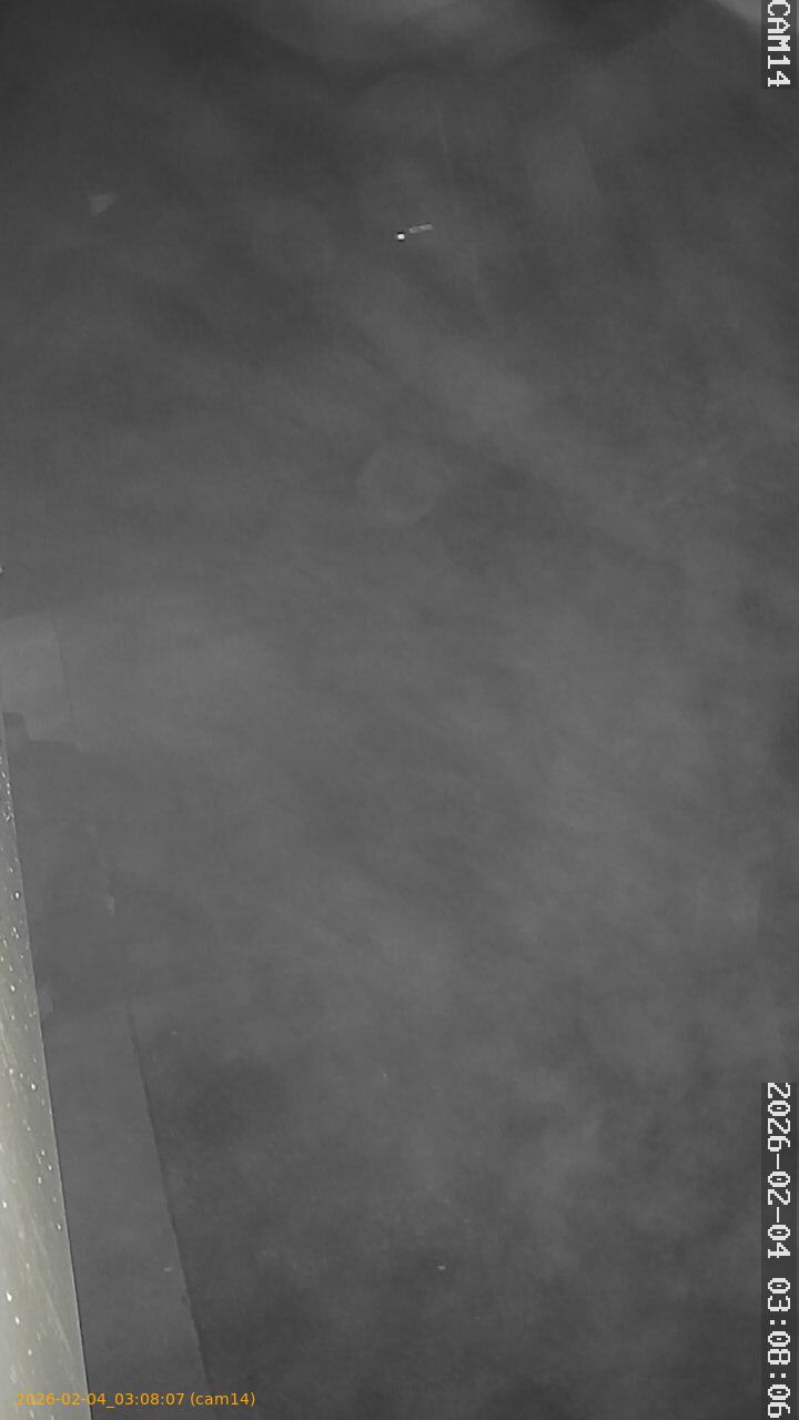 thumbnail_20260204030807