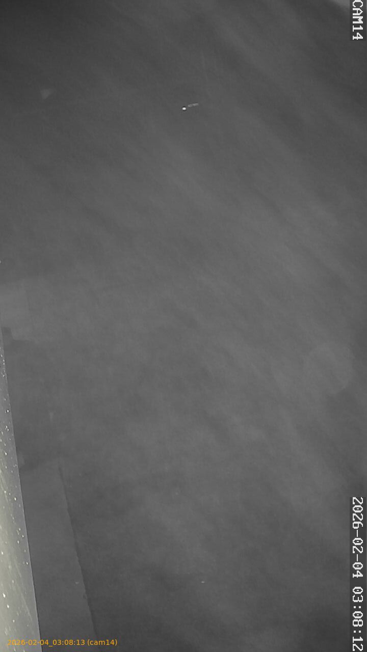 thumbnail_20260204030813