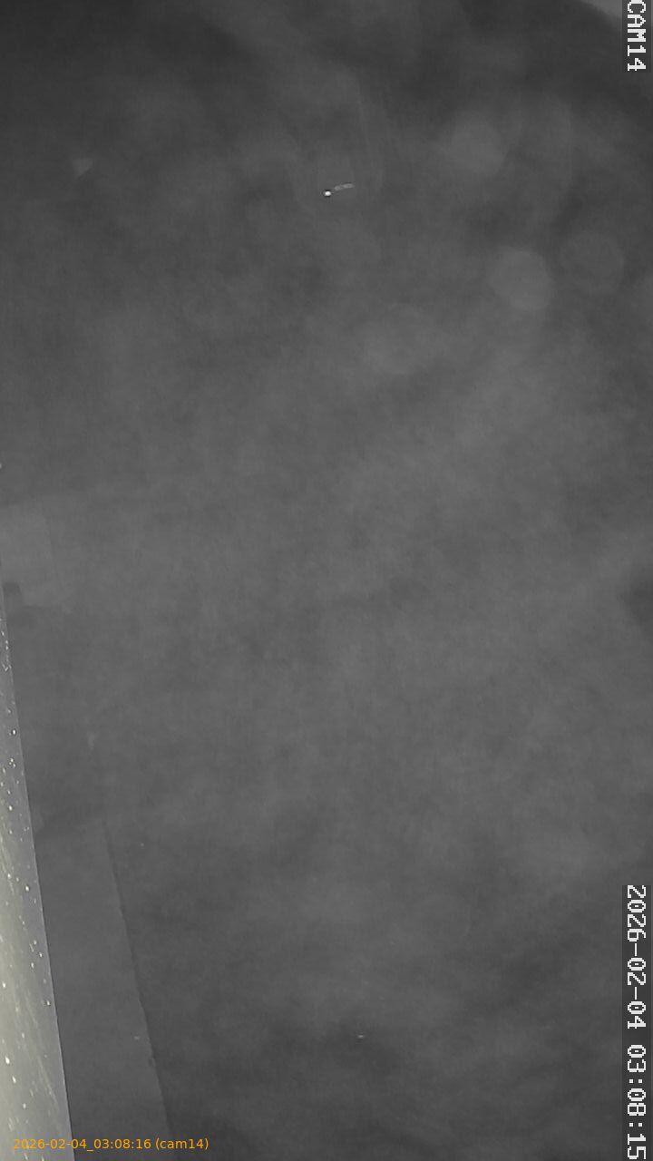 thumbnail_20260204030816