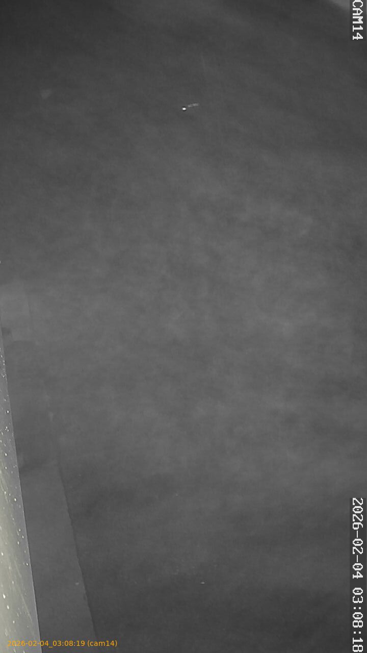 thumbnail_20260204030819