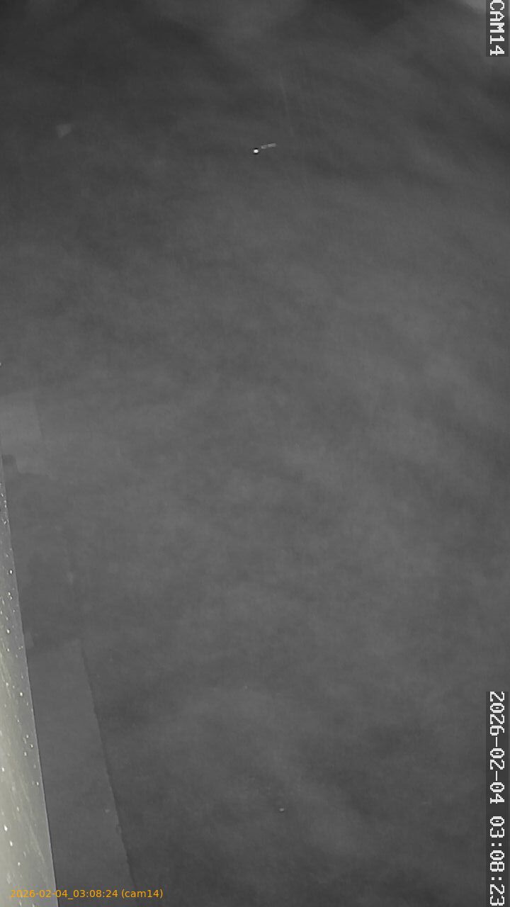 thumbnail_20260204030824