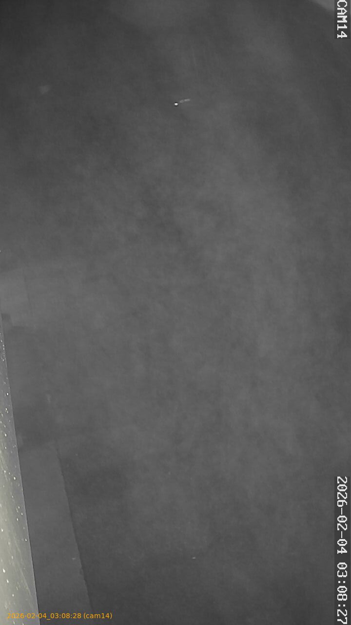 thumbnail_20260204030828