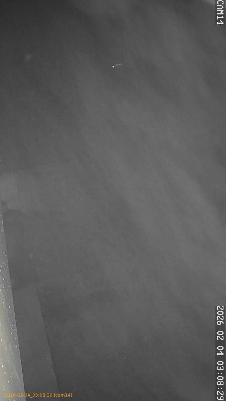 thumbnail_20260204030830