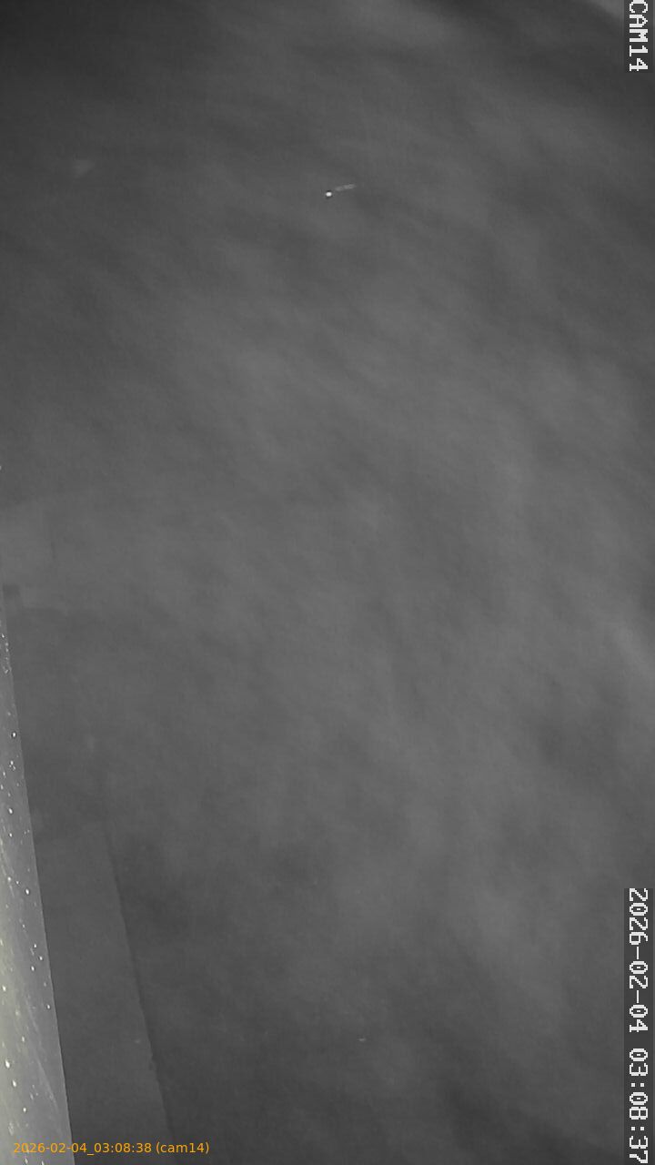 thumbnail_20260204030838