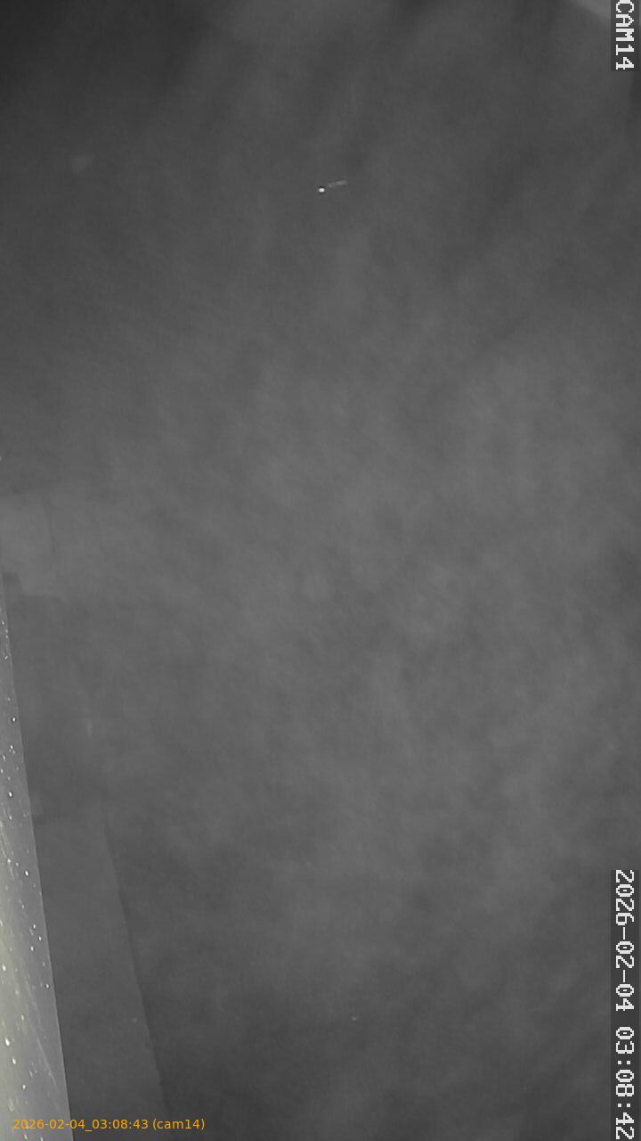 thumbnail_20260204030843