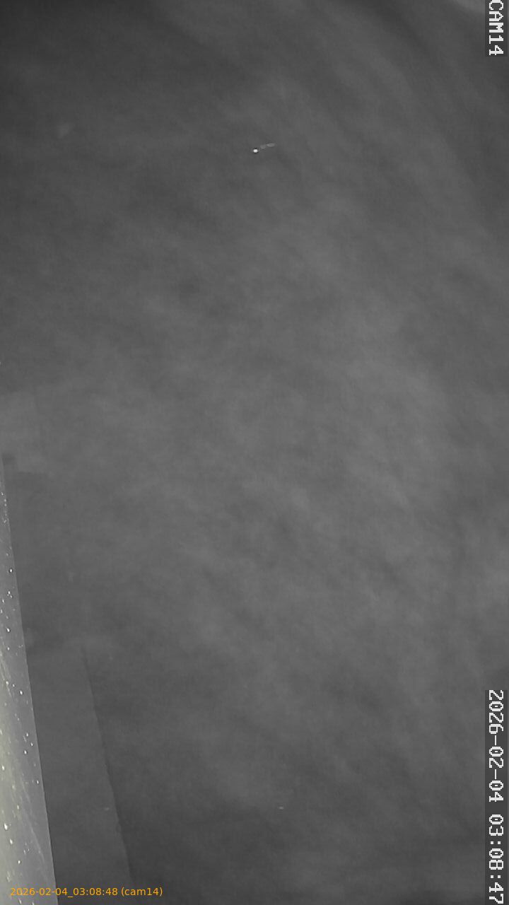 thumbnail_20260204030848