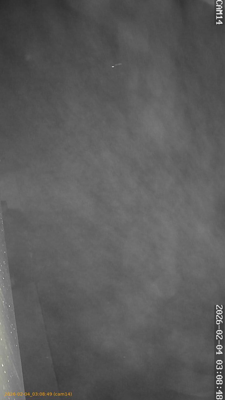 thumbnail_20260204030849