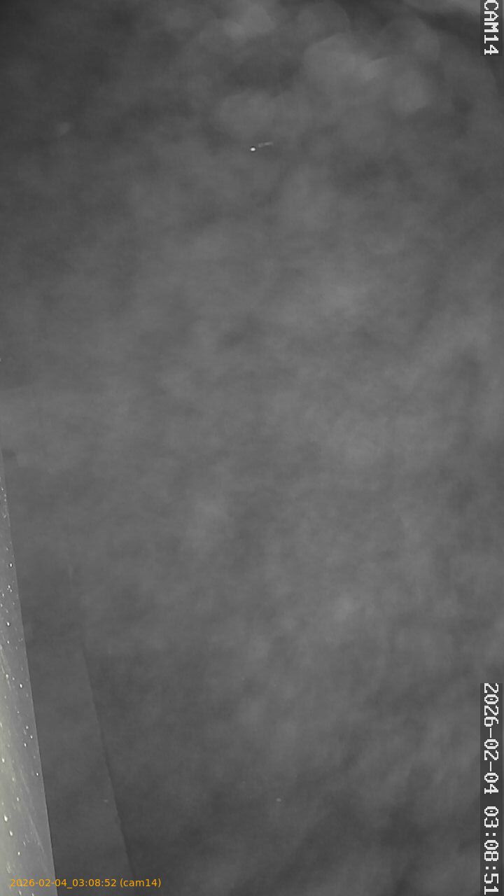 thumbnail_20260204030852