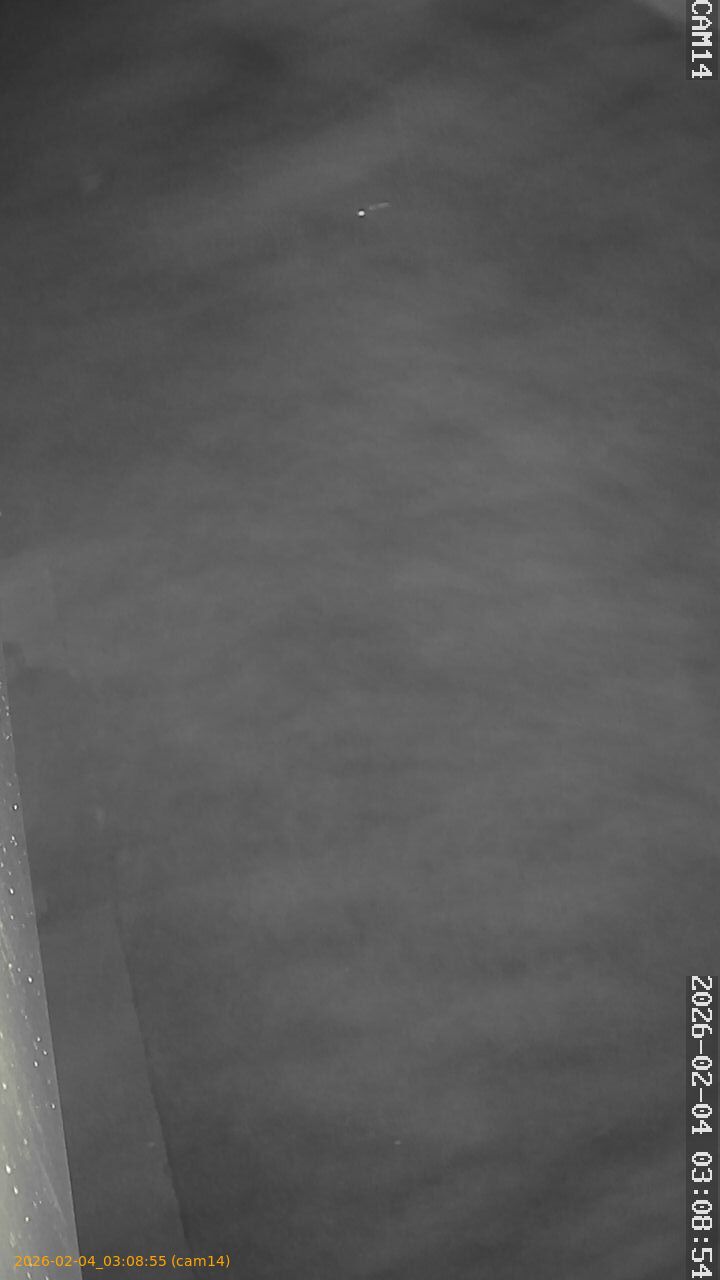 thumbnail_20260204030855