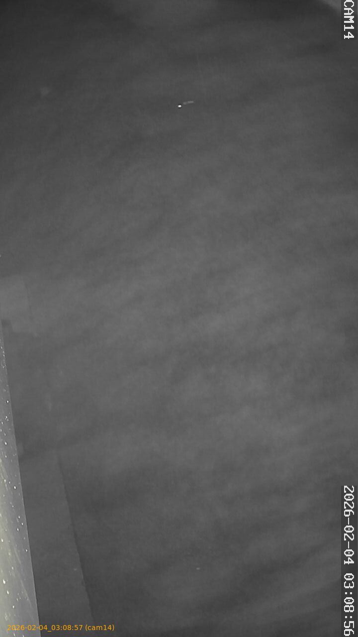 thumbnail_20260204030857