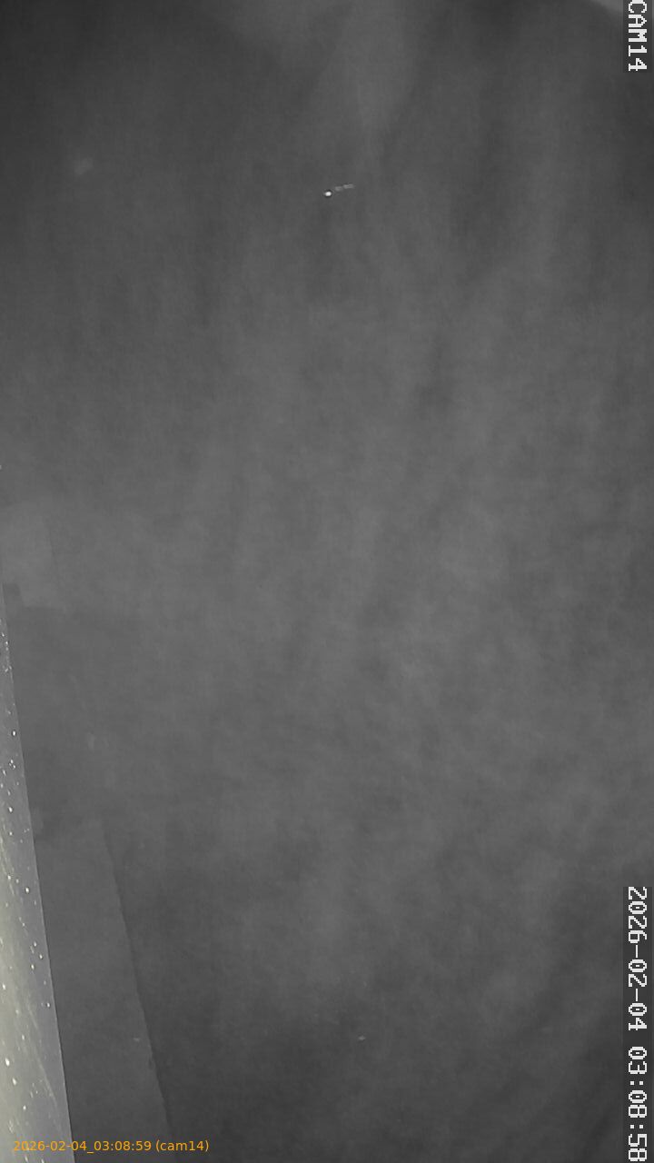 thumbnail_20260204030859