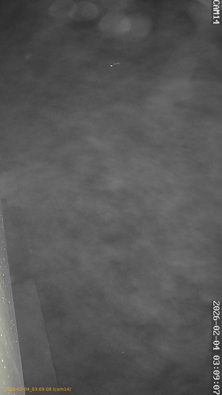 thumbnail_20260204030908