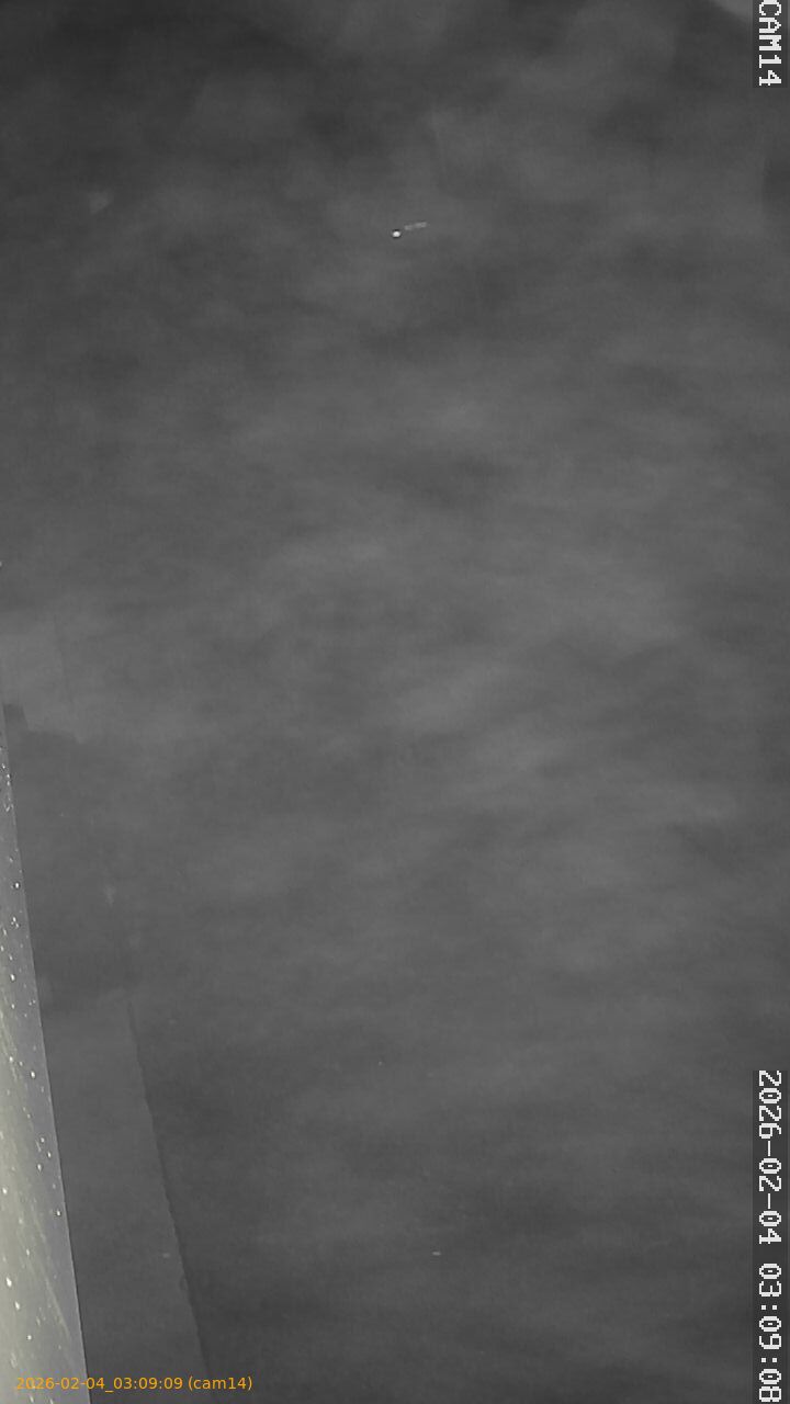 thumbnail_20260204030909