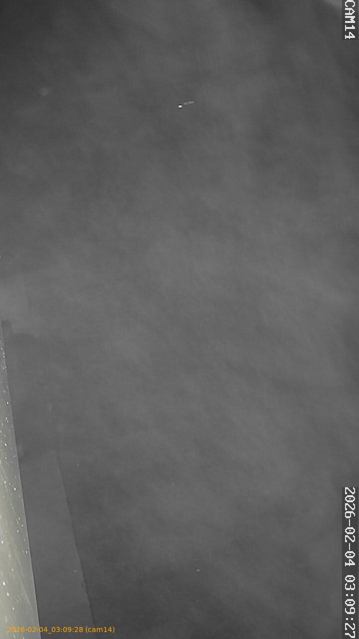 thumbnail_20260204030928