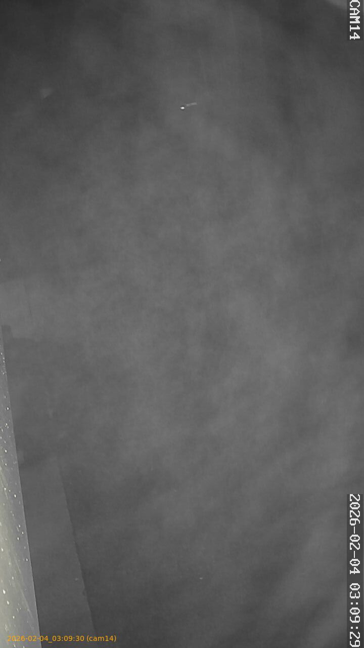 thumbnail_20260204030930