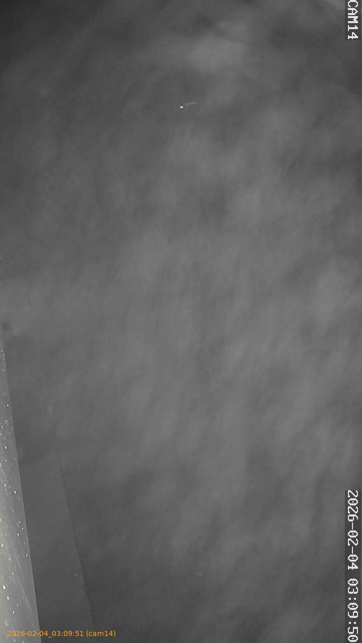 thumbnail_20260204030951