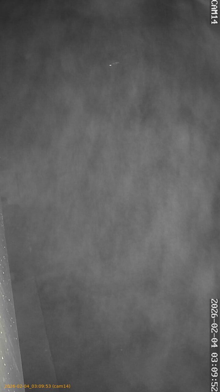 thumbnail_20260204030953