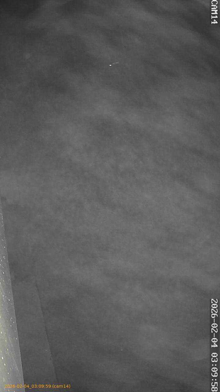 thumbnail_20260204030959