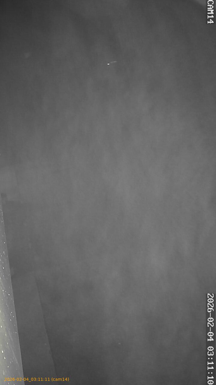 thumbnail_20260204031111