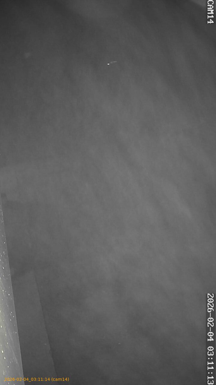 thumbnail_20260204031114