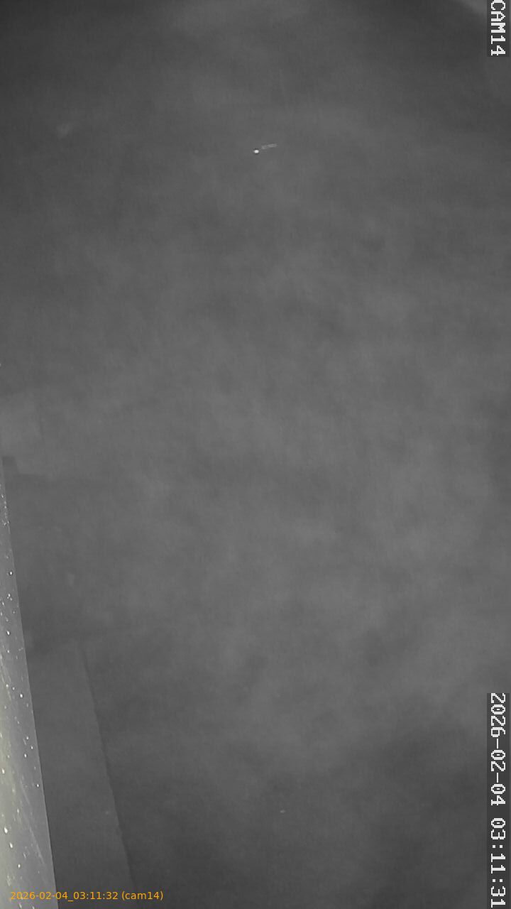 thumbnail_20260204031132