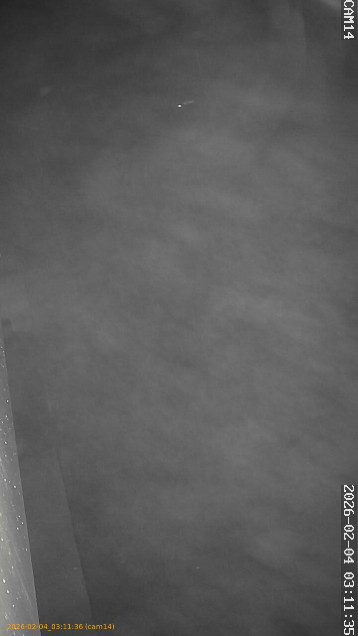 thumbnail_20260204031136