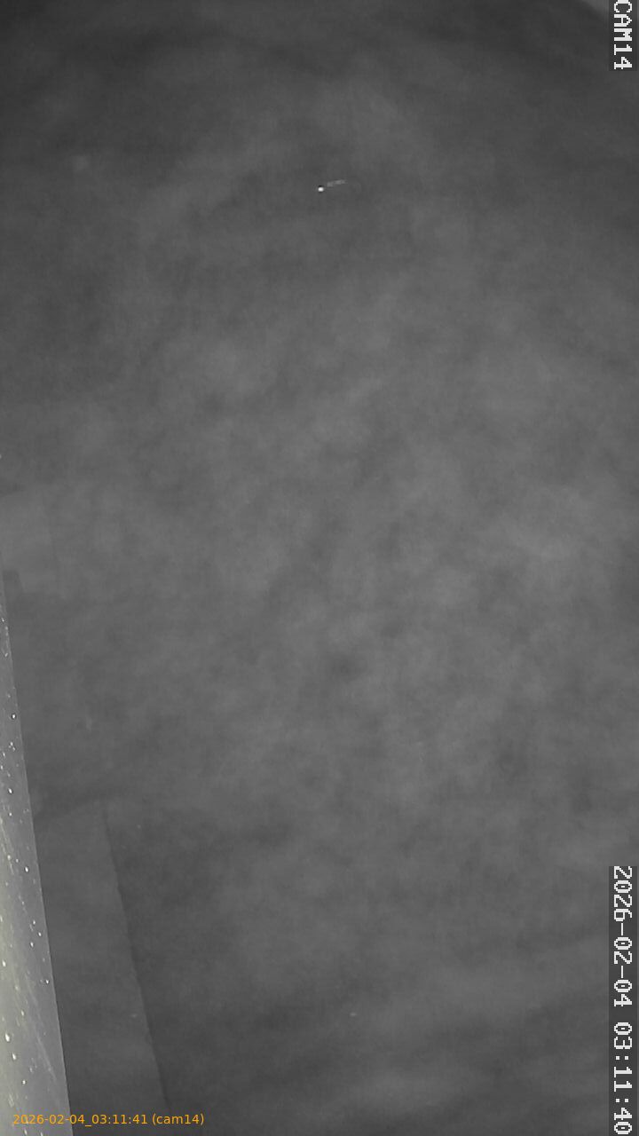 thumbnail_20260204031141