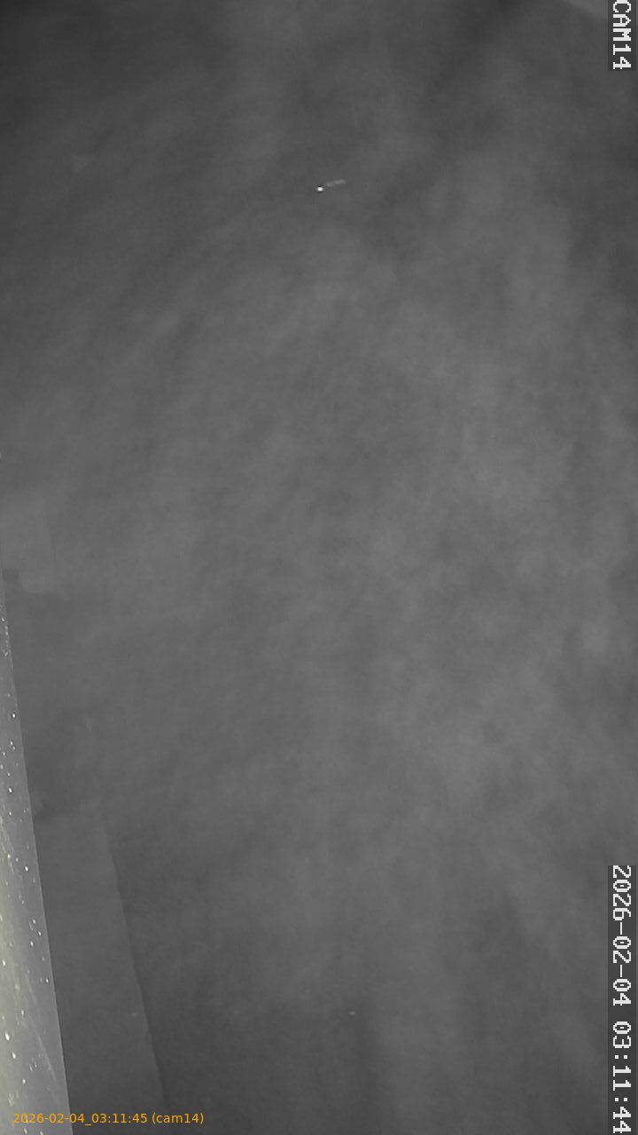 thumbnail_20260204031145