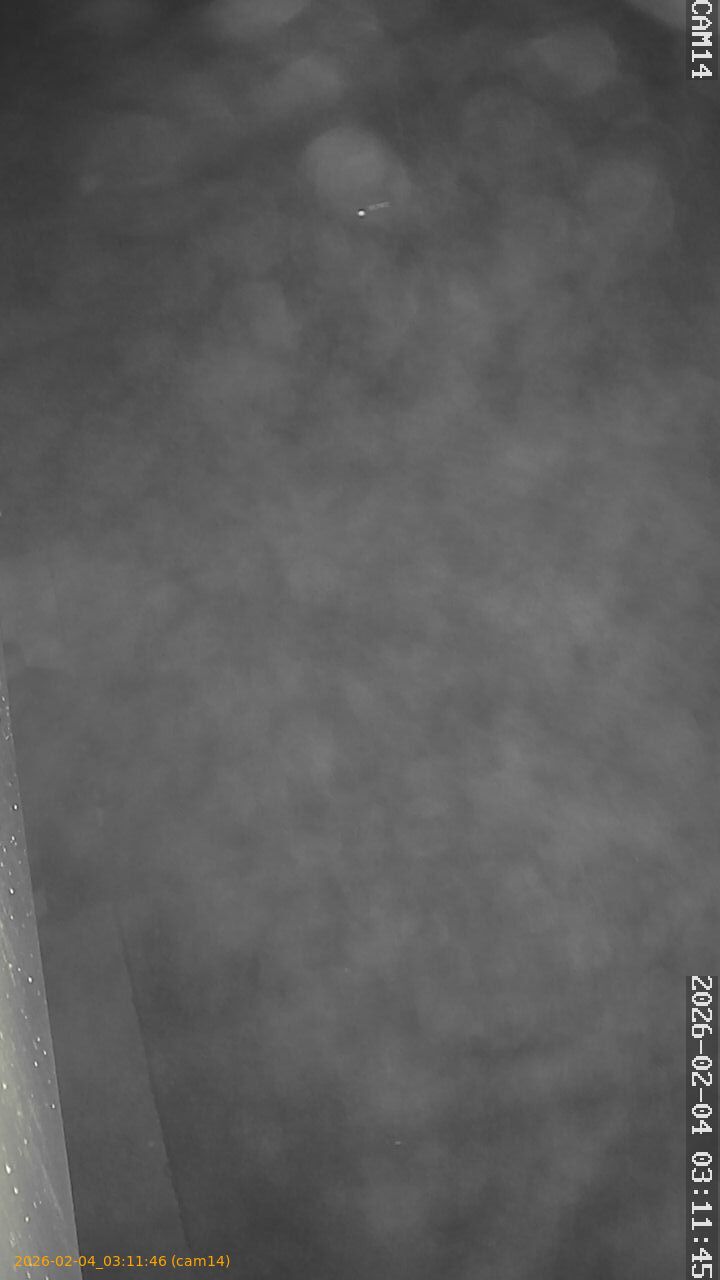 thumbnail_20260204031146