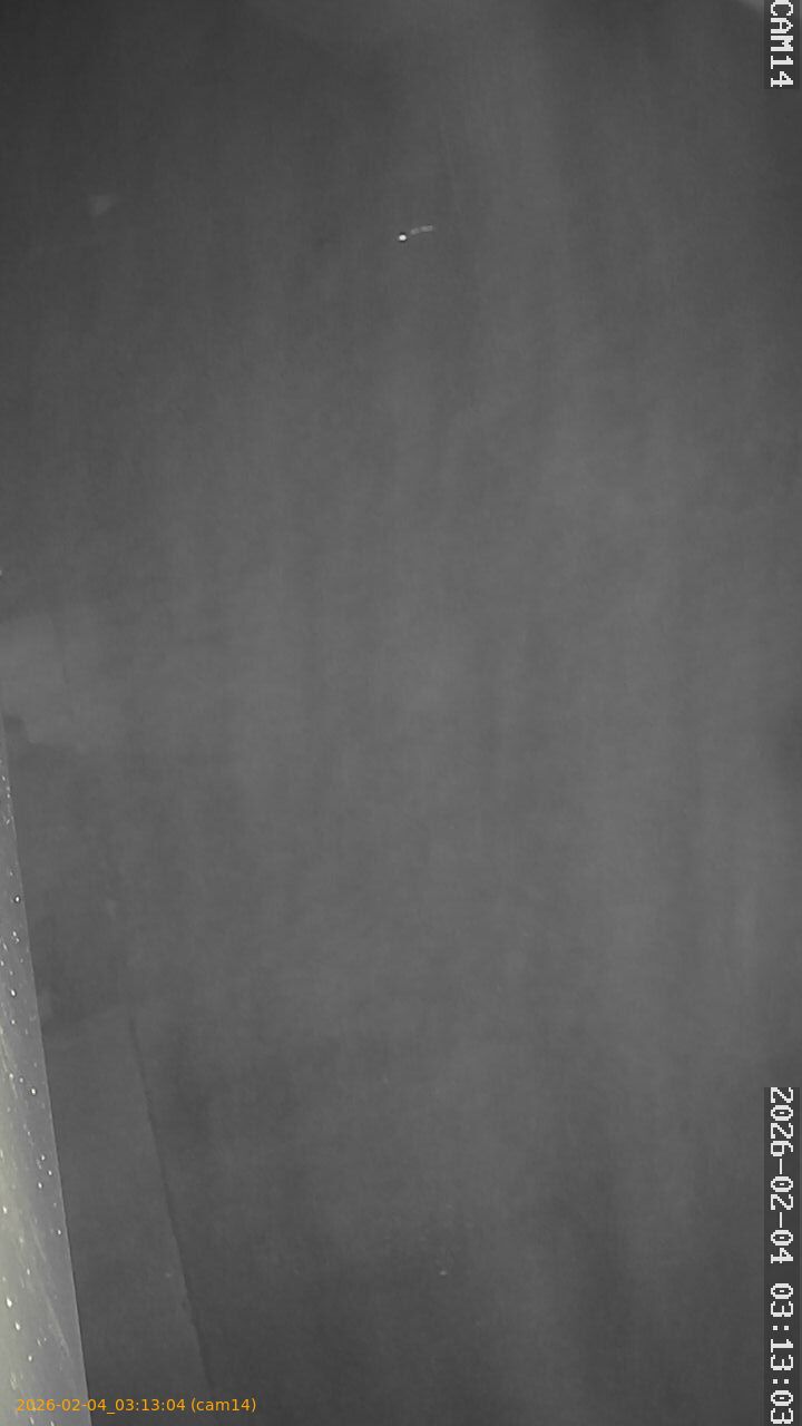 thumbnail_20260204031304