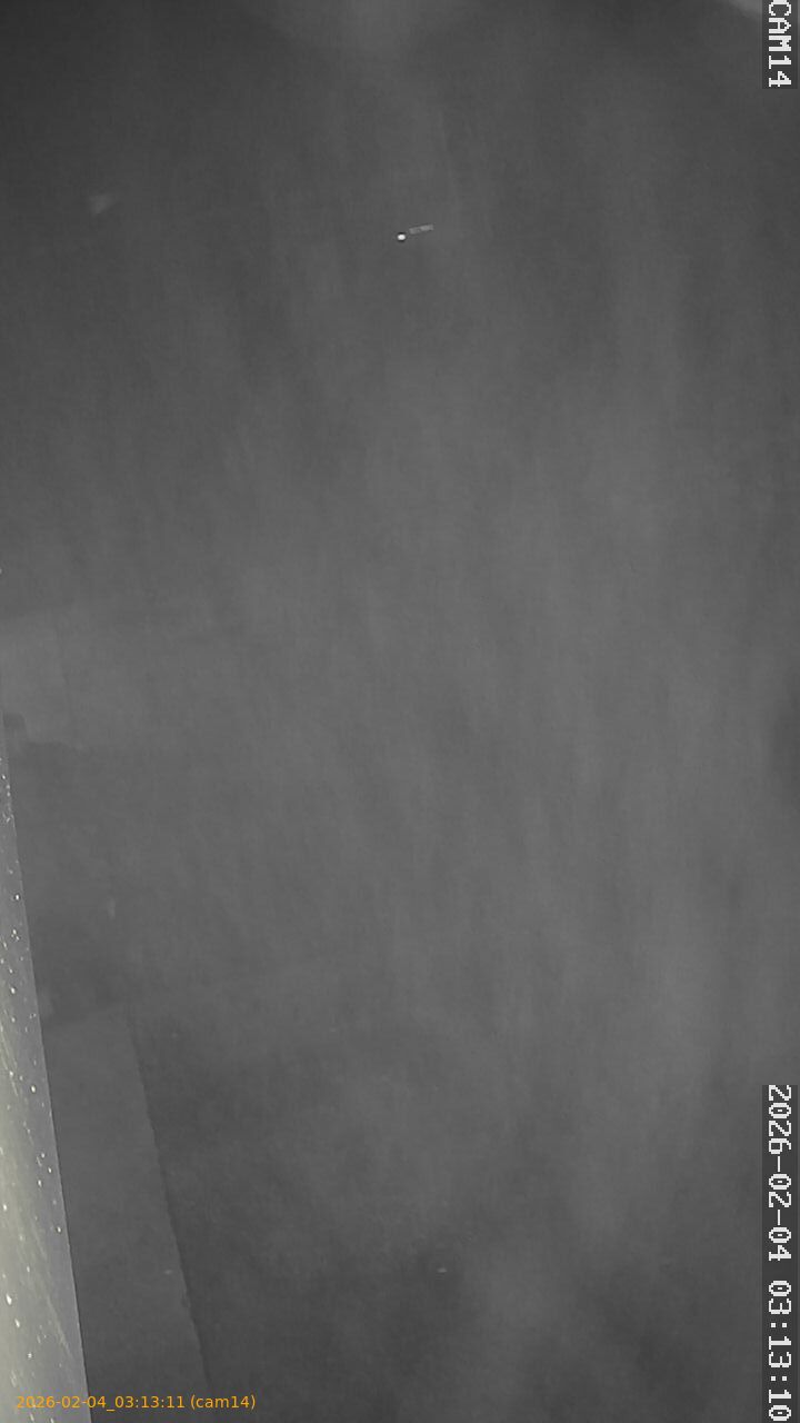 thumbnail_20260204031311