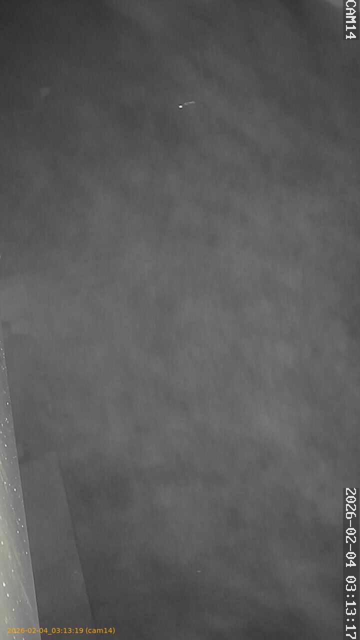 thumbnail_20260204031319