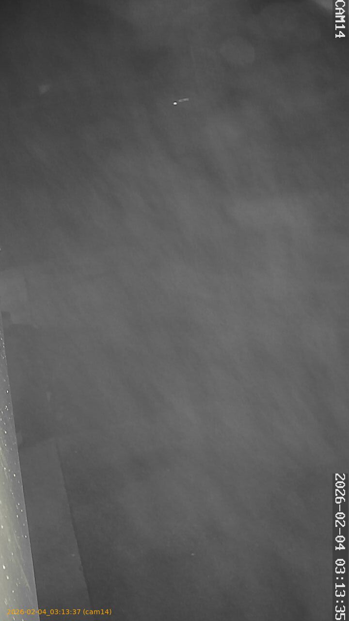 thumbnail_20260204031337