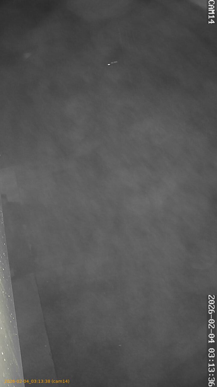 thumbnail_20260204031338