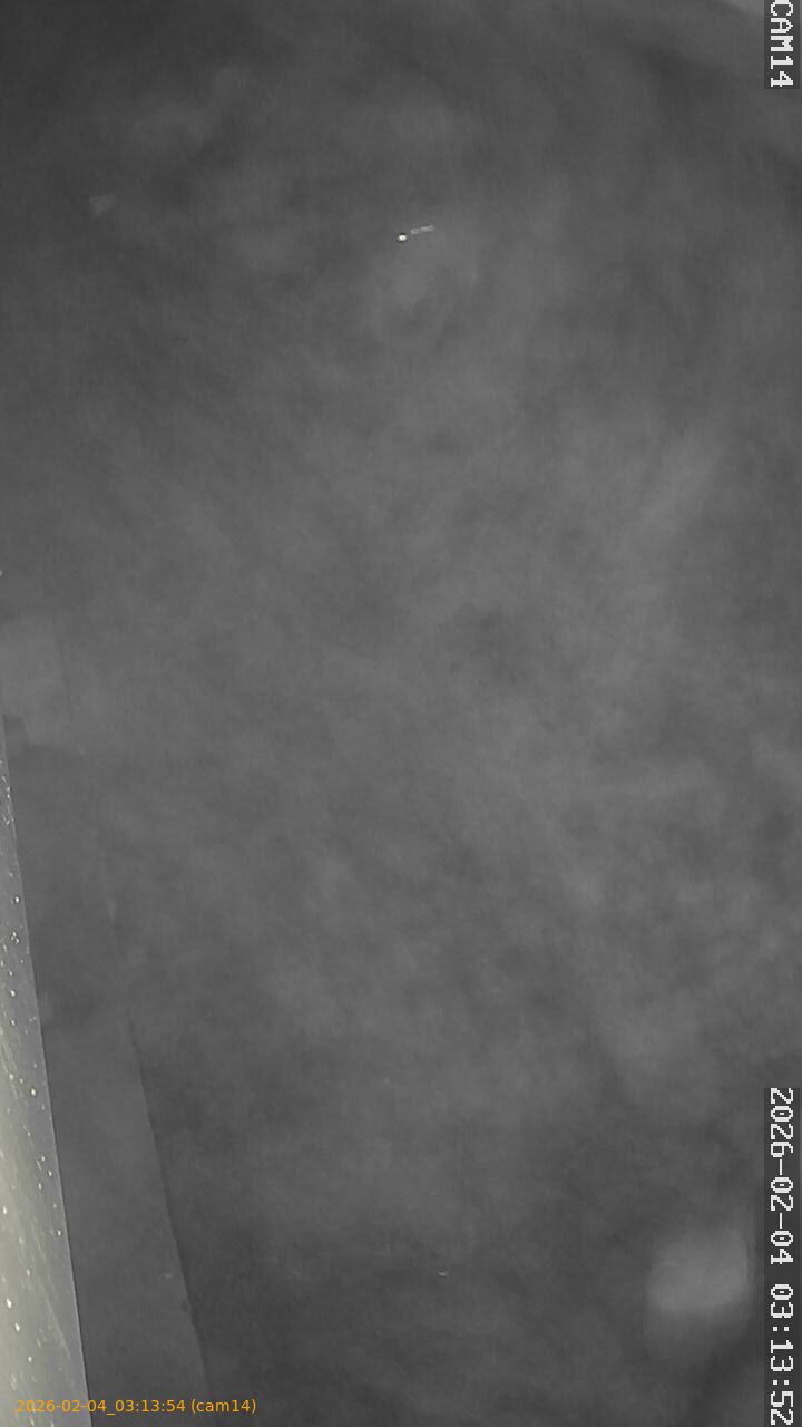 thumbnail_20260204031354