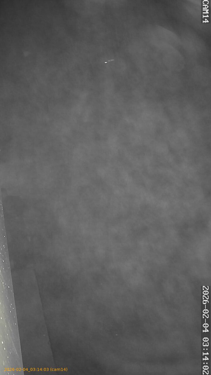 thumbnail_20260204031403