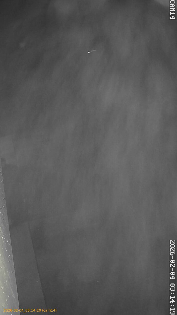 thumbnail_20260204031420