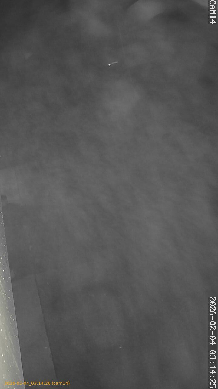 thumbnail_20260204031426