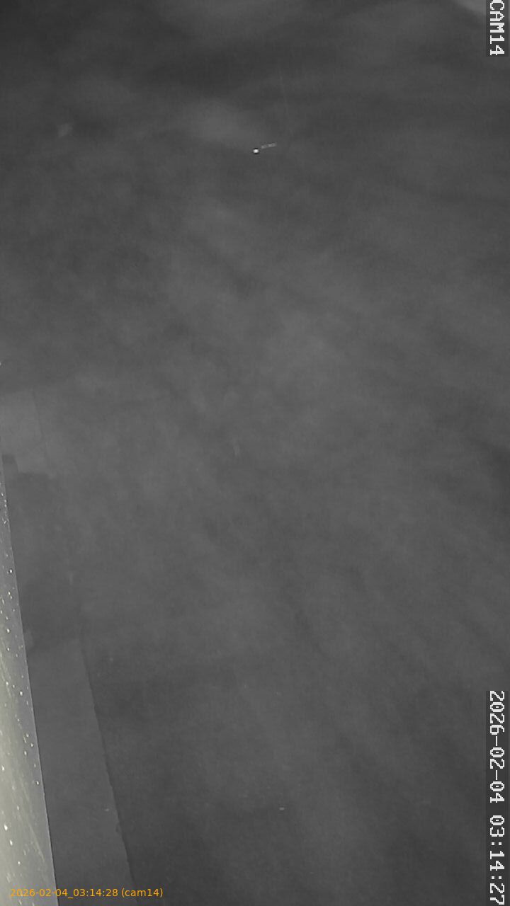 thumbnail_20260204031428