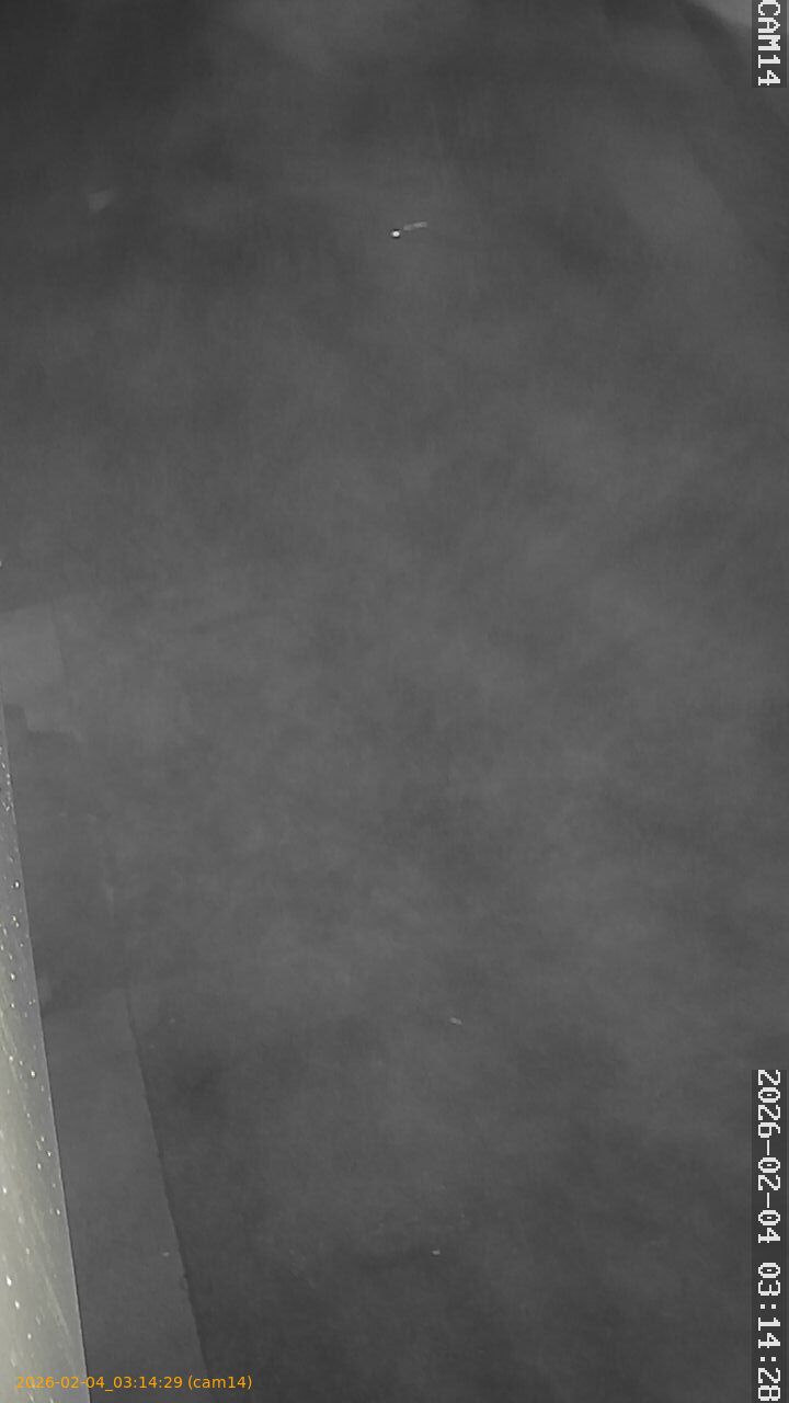 thumbnail_20260204031429