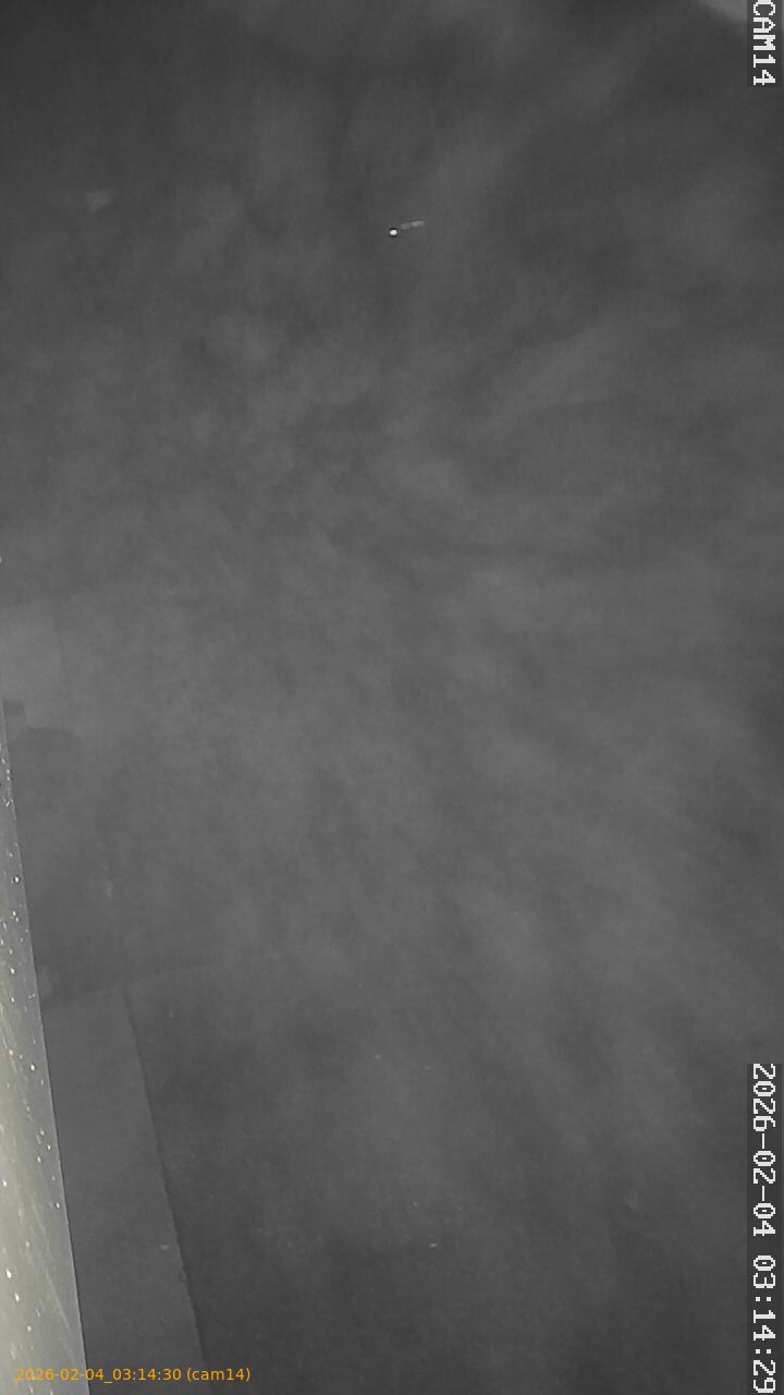 thumbnail_20260204031430