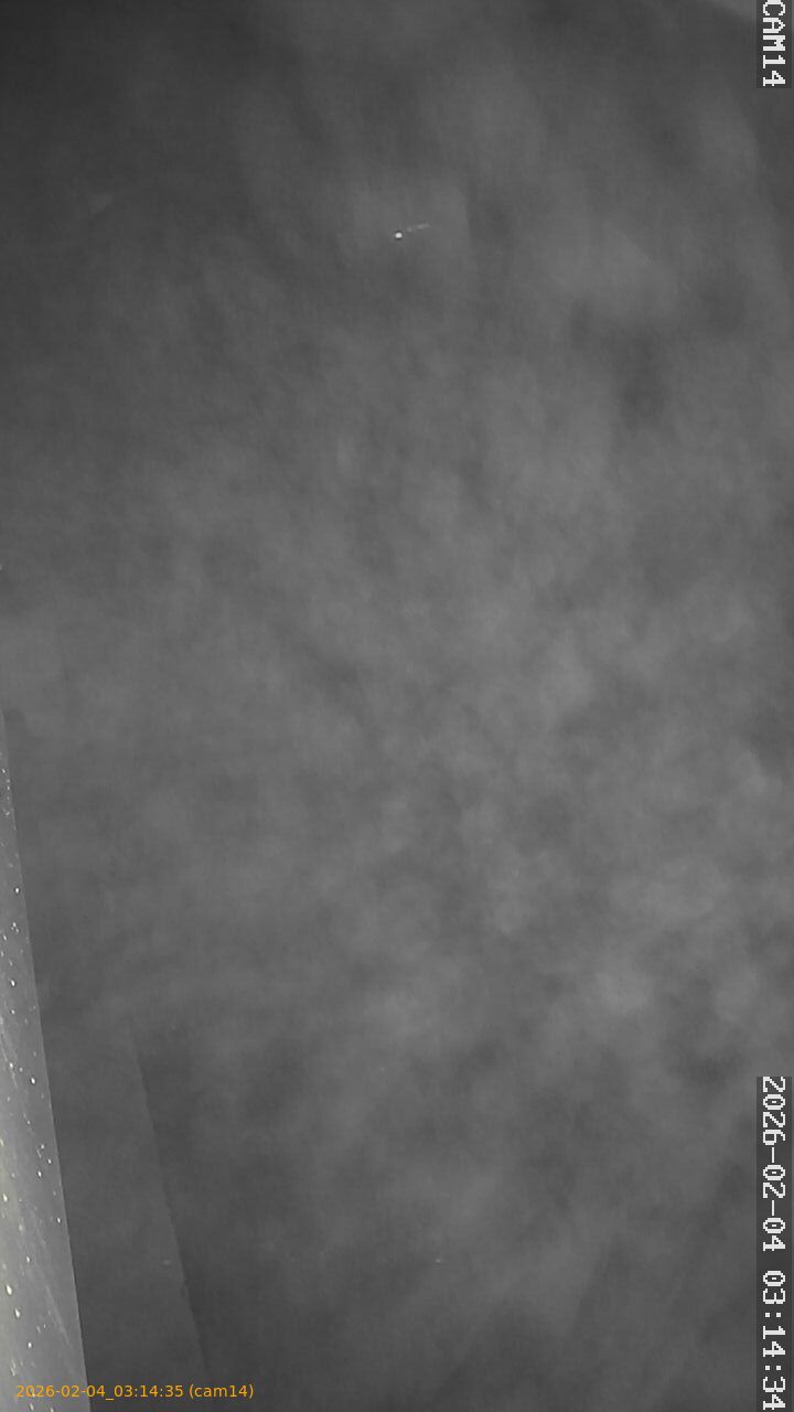 thumbnail_20260204031435