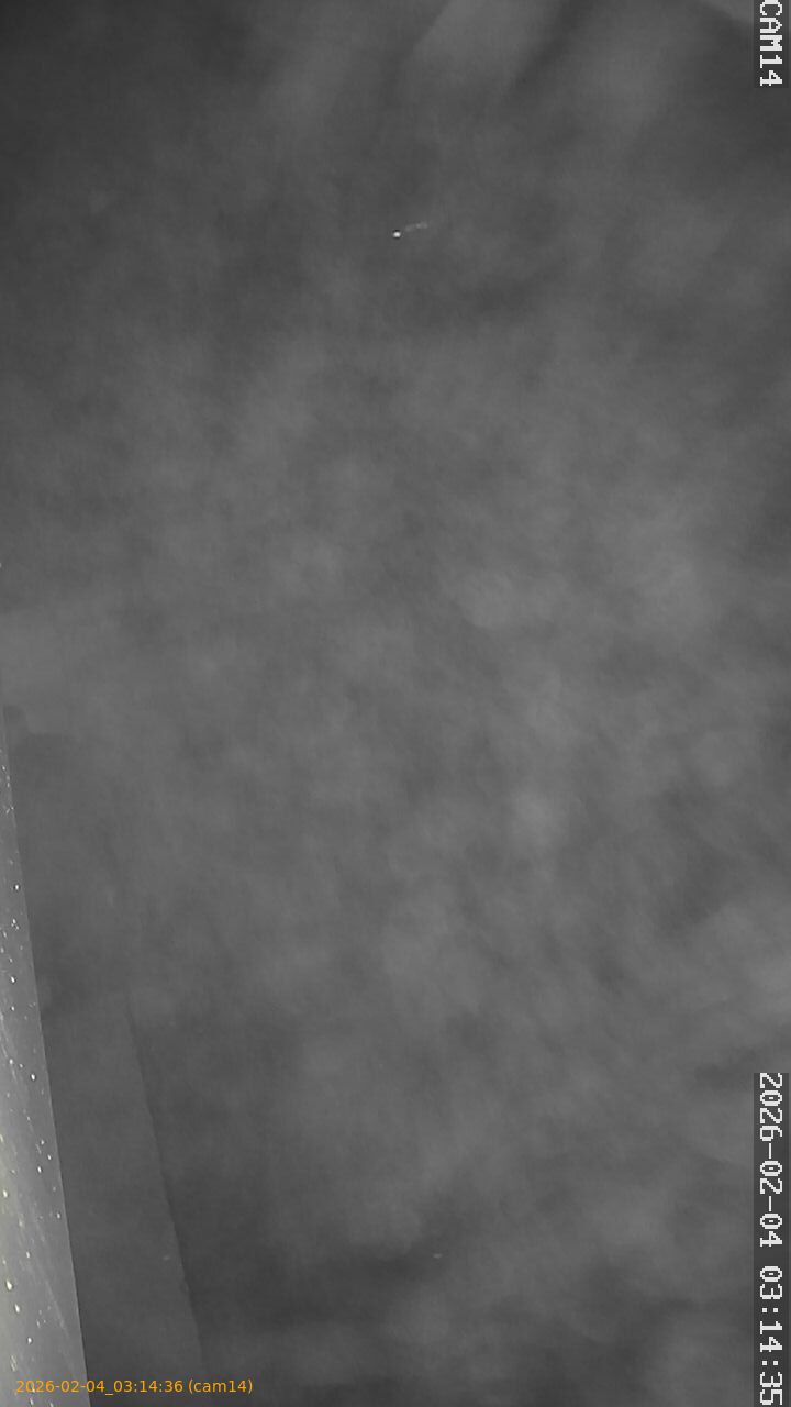 thumbnail_20260204031436